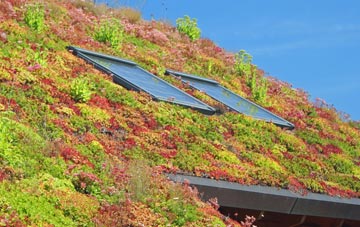 Chorlton Lane living roof systems