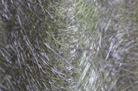 Chorlton Lane fibreglass roof work